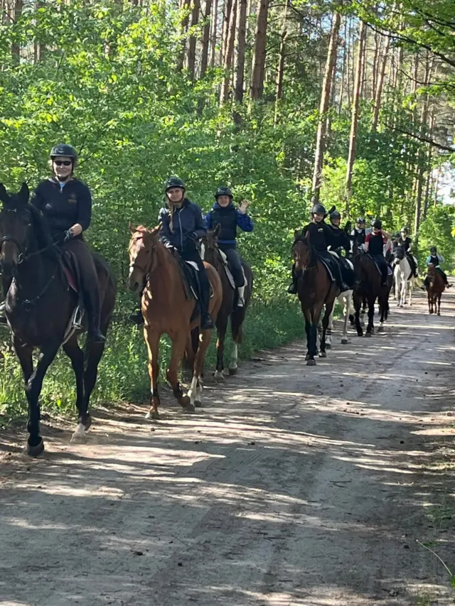 Zastęp jeźdźców na leśnej drodze w słoneczny dzień