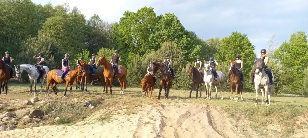 Grupa jeźdźców na piaszczystej polanie w lesie